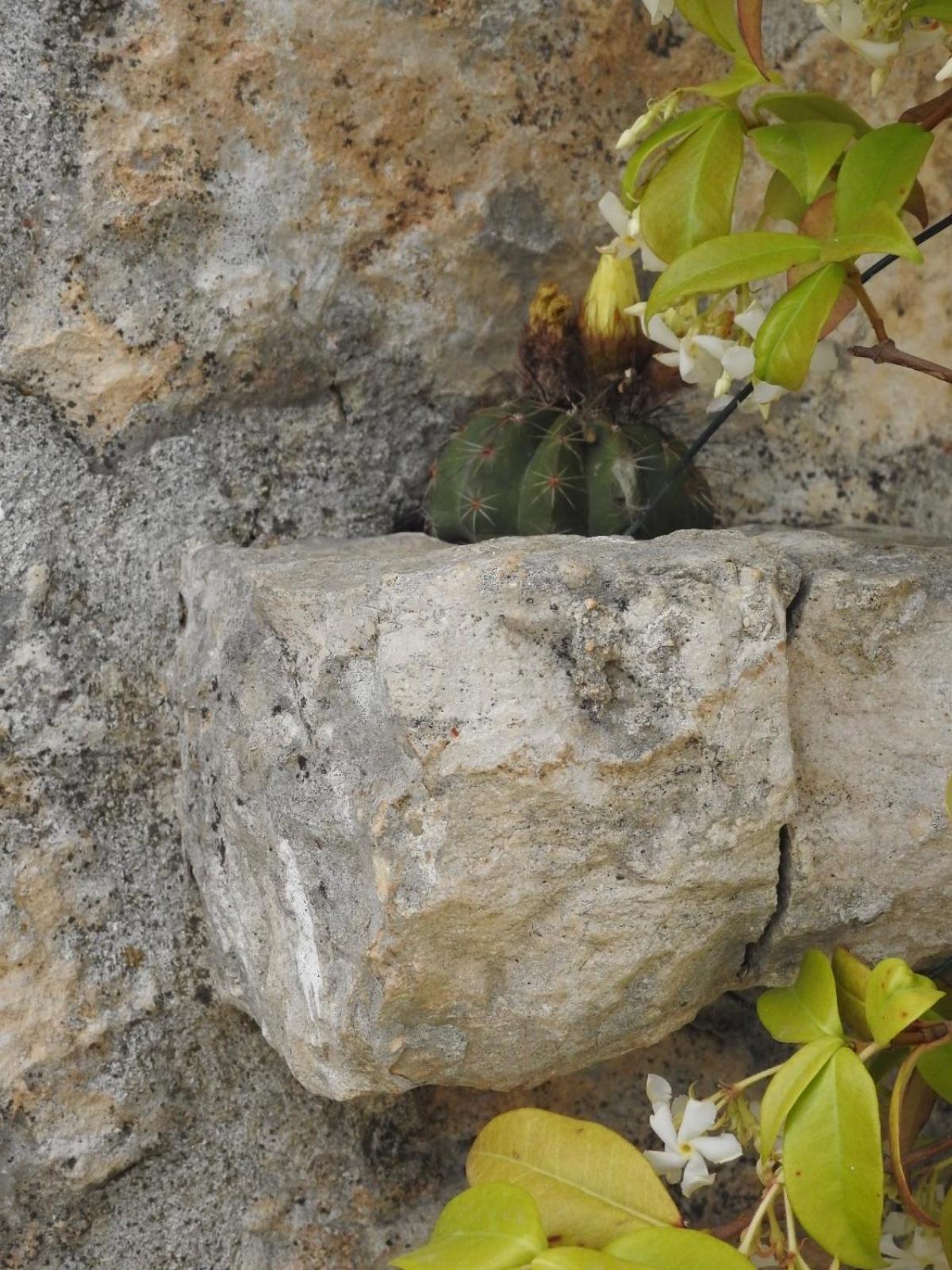 Villa Trulli Del Sole Martina Franca Exterior foto